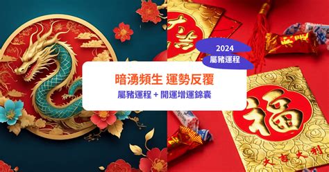 2024 屬豬運勢|【2024屬豬運程】2024屬豬運程：反覆向上、轉危為機！【開運。